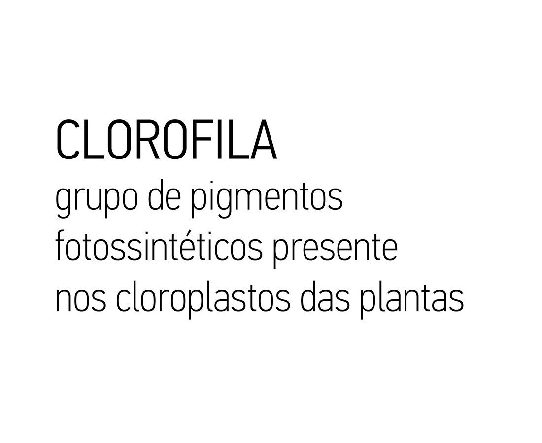 Clorophila